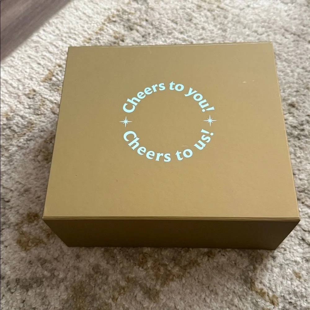 NEW Celebration Gift Box 2 Cocktail Glasses, 4 Leather Coasters & Gold Confetti